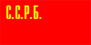 flag 1919 