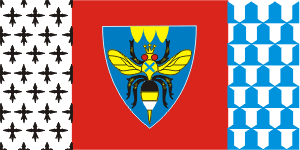 ���� ���