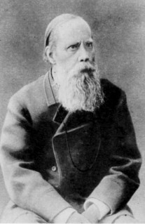 Салтыков-Щедрин 1880-е  годы